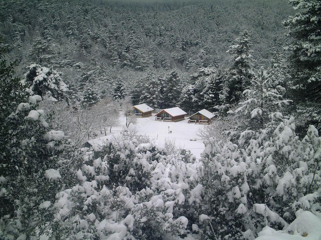 Te'dreri - Llogora Tourist Village Dhërmi